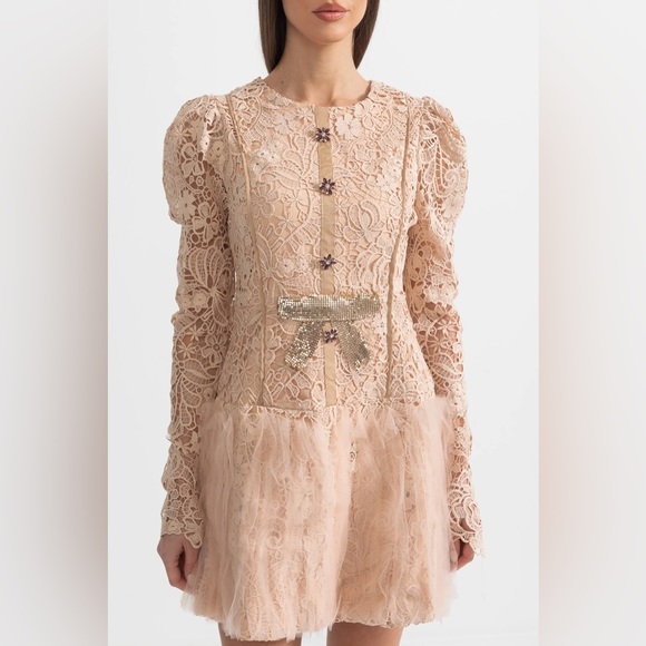 NWT Sierra Darien Elegant Lace Long Sleeve Dress in Cream M - Picture 6 of 8